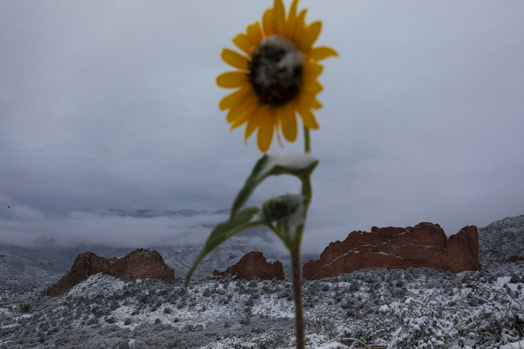 090920-news-earlysnow 16.jpg